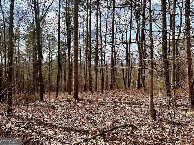 1344 Hunter Dr, Ranger, GA 30734