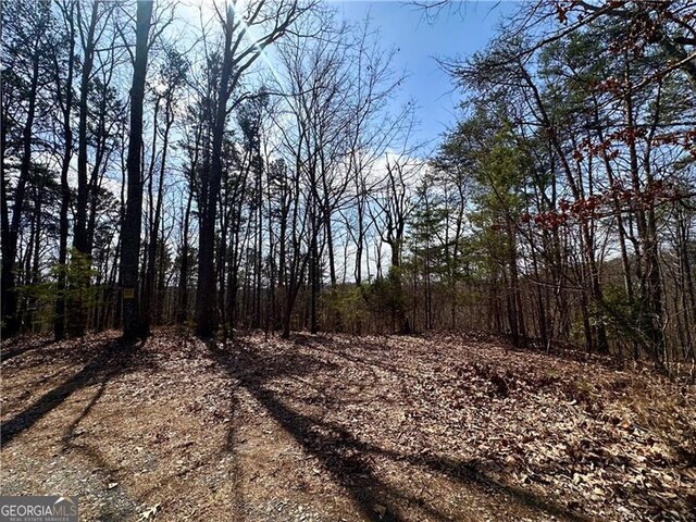 1344 Hunter Dr, Ranger, GA 30734