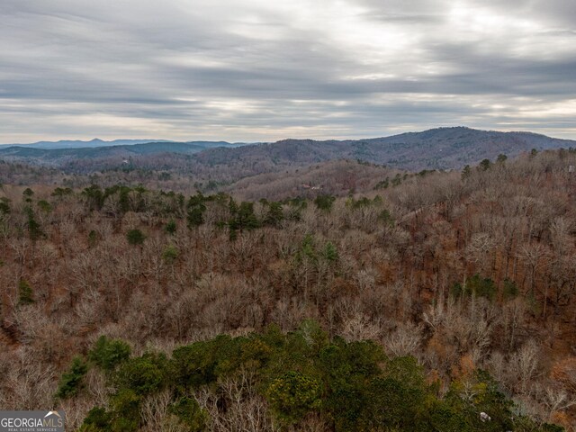 1344 Hunter Dr, Ranger, GA 30734