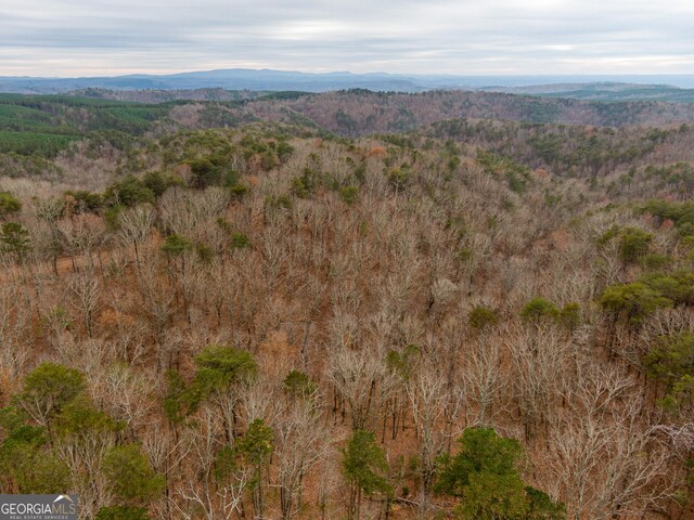 1344 Hunter Dr, Ranger, GA 30734