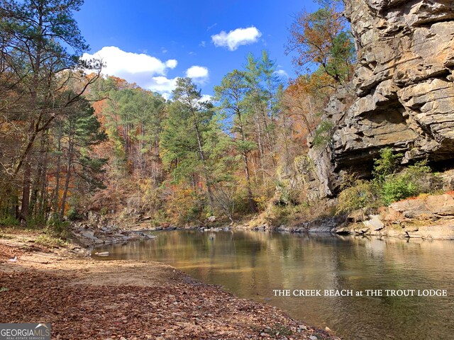 1344 Hunter Dr, Ranger, GA 30734