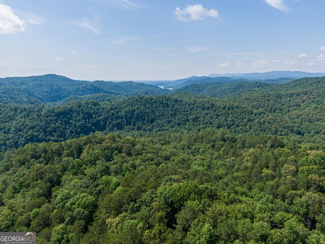 1344 Hunter Dr, Ranger, GA 30734