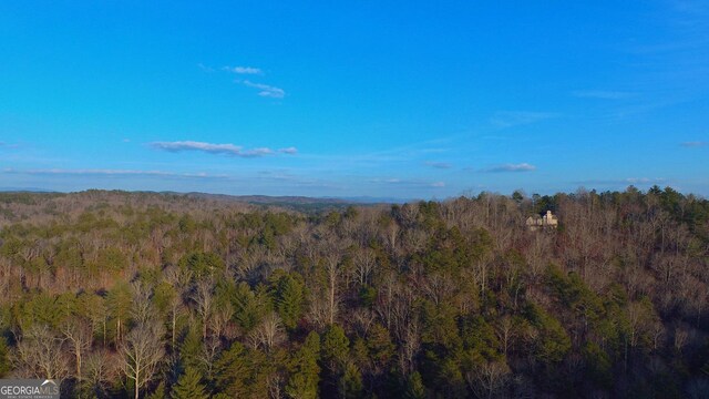 1344 Hunter Dr, Ranger, GA 30734