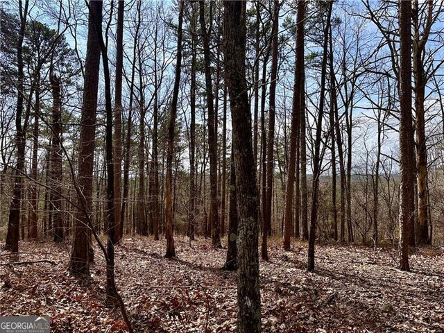 1344 Hunter Dr, Ranger, GA 30734