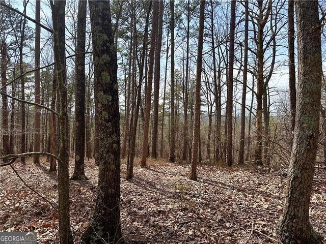 1344 Hunter Dr, Ranger, GA 30734