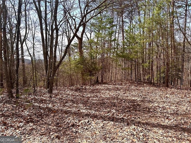 1344 Hunter Dr, Ranger, GA 30734