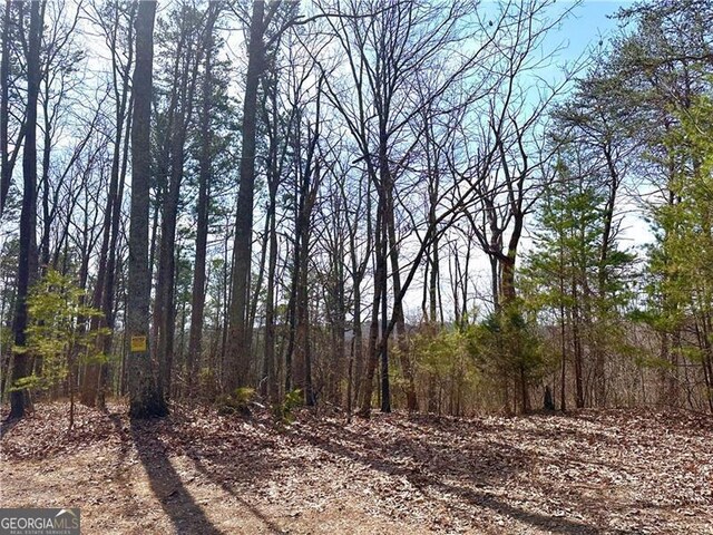 1344 Hunter Dr, Ranger, GA 30734