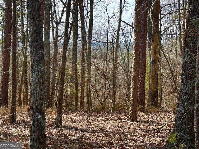 1344 Hunter Dr, Ranger, GA 30734