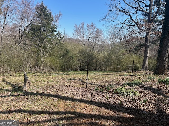 view of yard featuring a view of trees