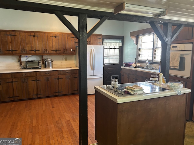 kitchen featuring a toaster, light countertops, light wood-style flooring, white appliances, and a sink