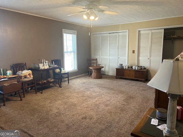 office space featuring ceiling fan, carpet floors, a textured ceiling, and ornamental molding