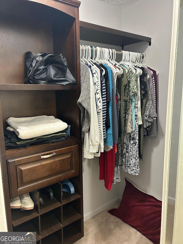 spacious closet with carpet floors