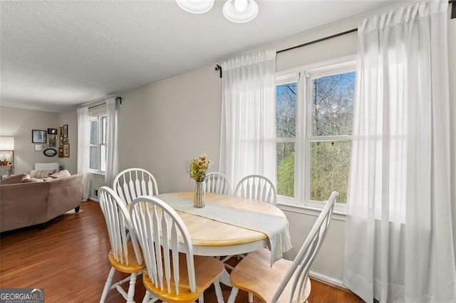 dining room featuring a textured ceiling and wood finished floors