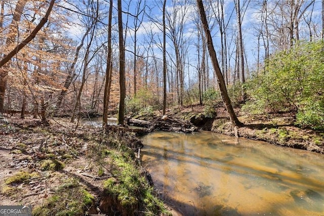 view of nature featuring a wooded view