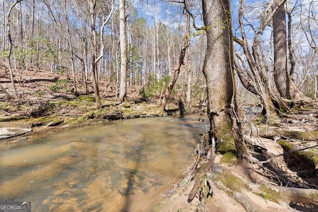 view of local wilderness featuring a view of trees