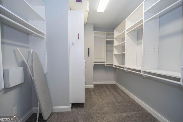 spacious closet with carpet