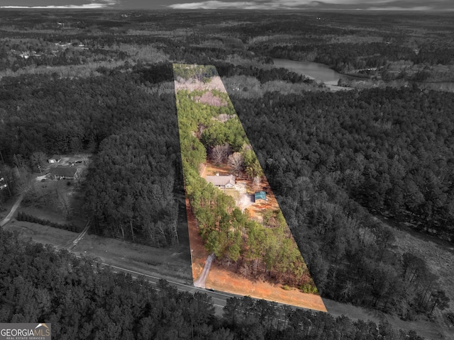 birds eye view of property with a forest view