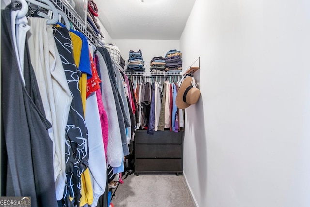 walk in closet featuring carpet