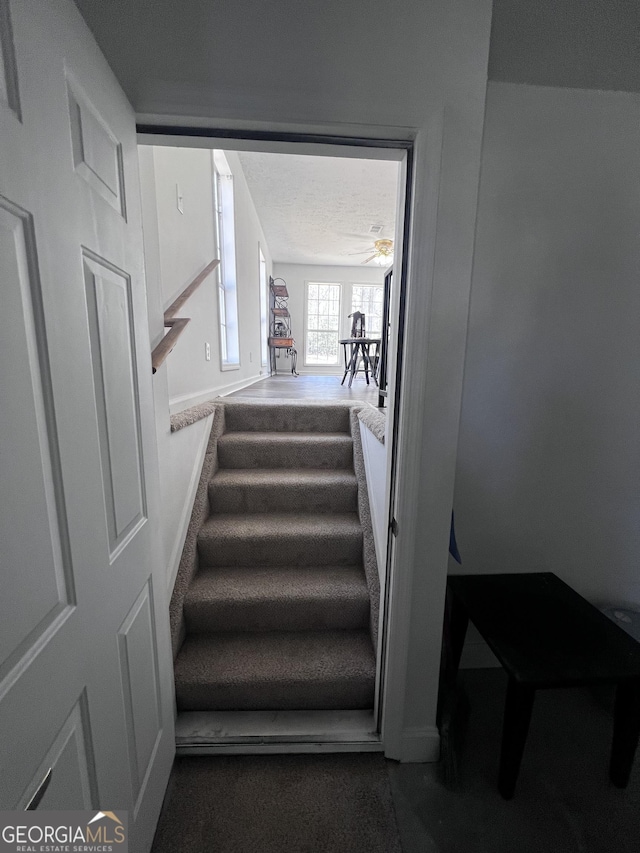 stairway with a textured ceiling