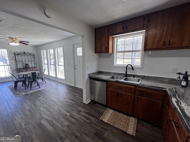 kitchen featuring dark wood-style floors, a healthy amount of sunlight, dishwasher, and a sink