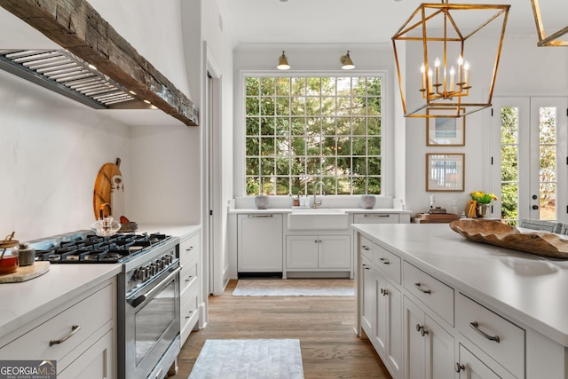 kitchen with dishwasher, stainless steel stove, exhaust hood, plenty of natural light, and a sink