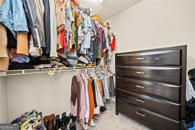 spacious closet with carpet floors