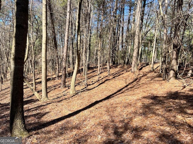 LOT32 Lakeview Cir, Ellijay GA, 30536 land for sale