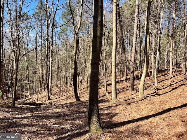 Listing photo 3 for LOT32 Lakeview Cir, Ellijay GA 30536