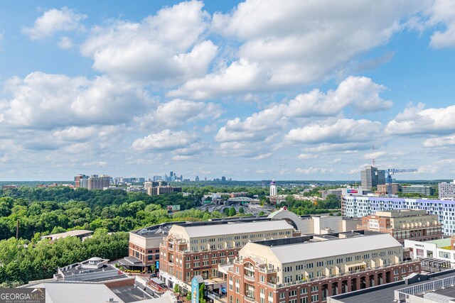 361 17th St Unit 1516, Atlanta, GA 30363 - city view