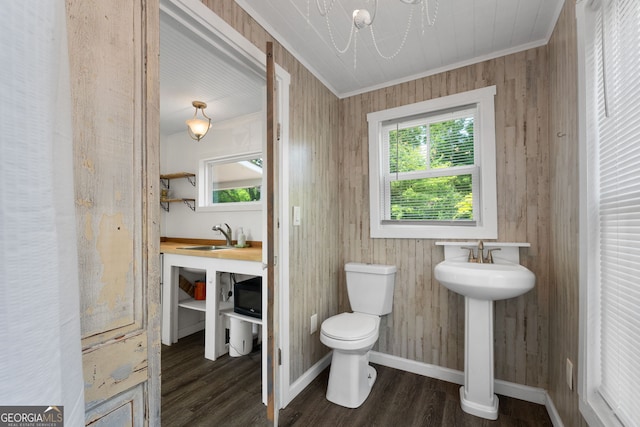 bathroom with a sink, toilet, a wealth of natural light, and crown molding