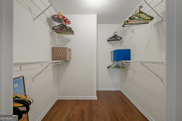 spacious closet featuring wood finished floors