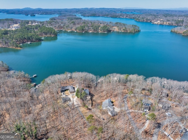 birds eye view of property with a wooded view and a water view