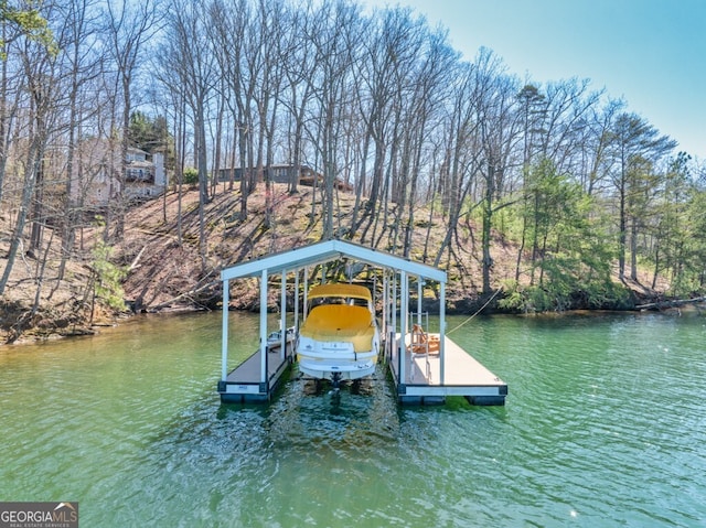 dock area with a water view