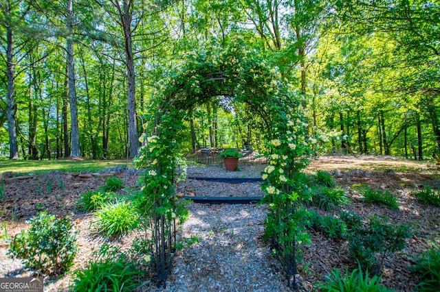 348 N Ridge Ln, Temple, GA 30179 - view of community