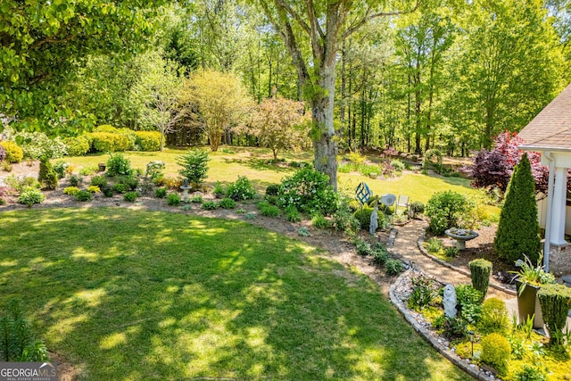 348 N Ridge Ln, Temple, GA 30179 - view of yard