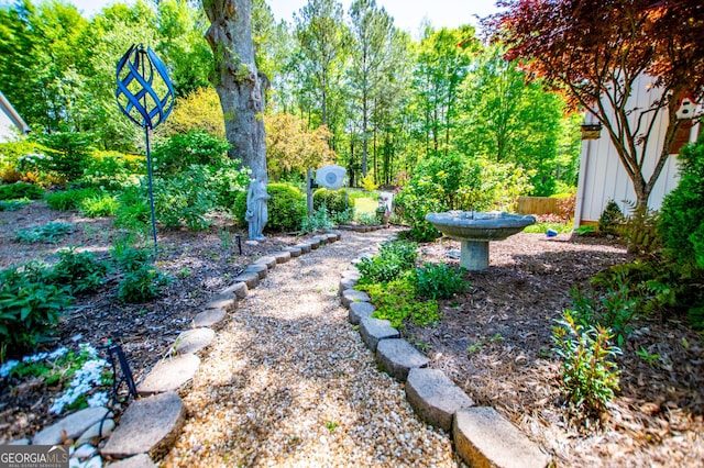 348 N Ridge Ln, Temple, GA 30179 - view of yard