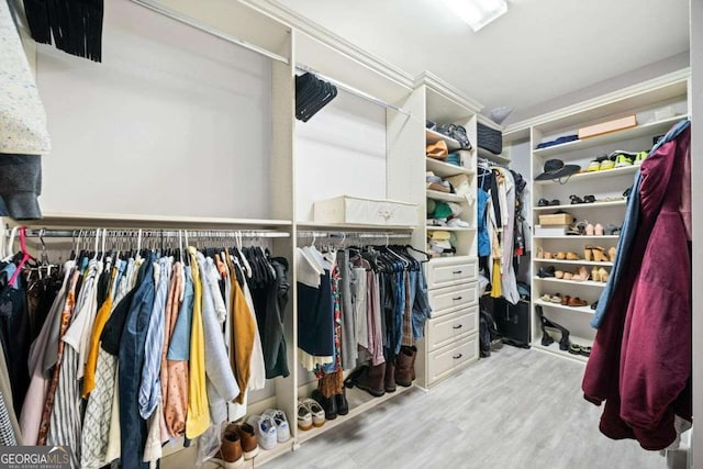 walk in closet with wood finished floors