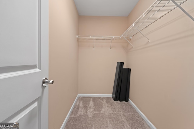 1439 Mill Pointe Ct, Lawrenceville, GA 30043 - walk in closet with carpet floors