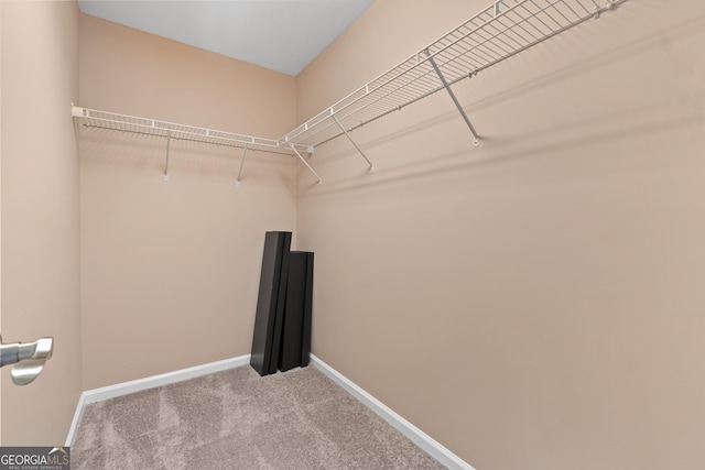 1439 Mill Pointe Ct, Lawrenceville, GA 30043 - walk in closet with carpet floors