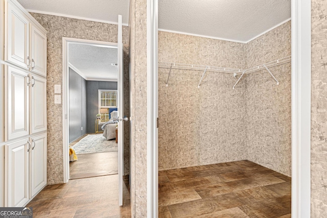 walk in closet featuring wood finished floors