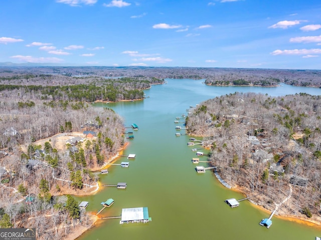 bird's eye view featuring a forest view and a water view