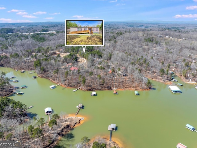 aerial view with a view of trees and a water view