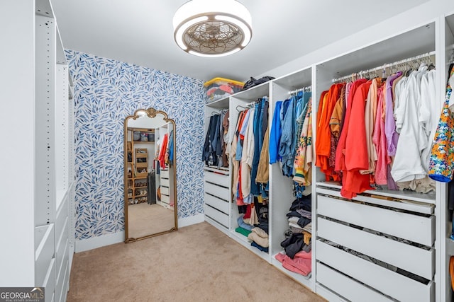 walk in closet featuring carpet