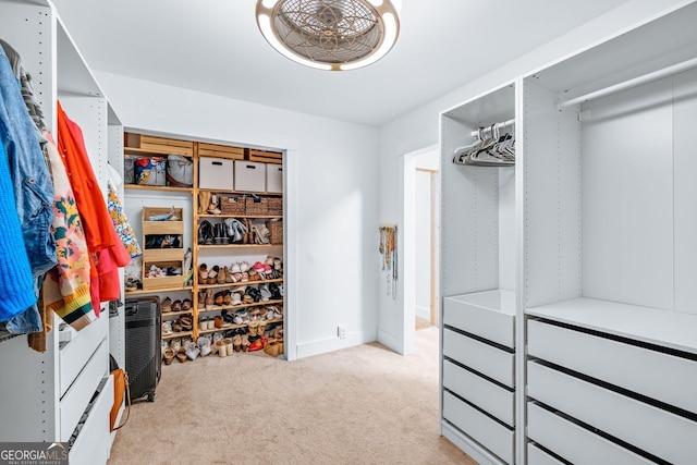 walk in closet with carpet