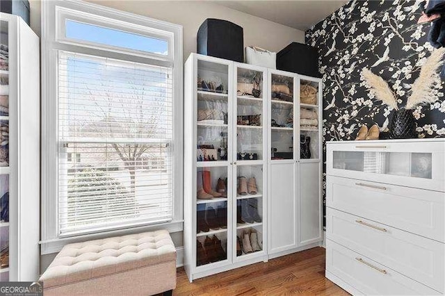 walk in closet featuring wood finished floors