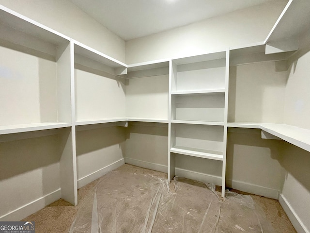 view of spacious closet