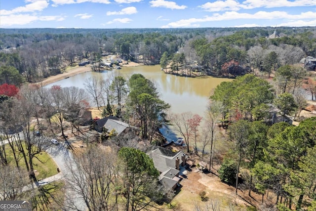 drone / aerial view with a view of trees and a water view