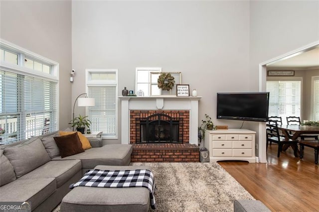 living room with plenty of natural light, a fireplace, a high ceiling, and wood finished floors