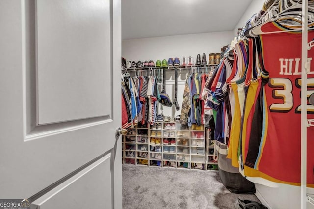 walk in closet with carpet