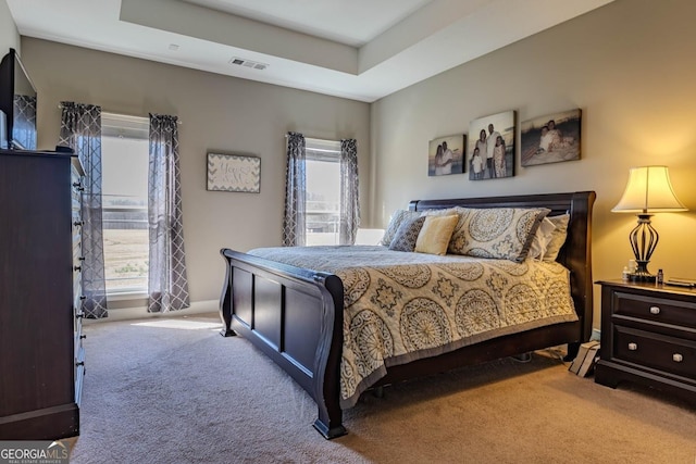 18 Vernon Rd NE, Rome, GA 30165 - bedroom featuring carpet, multiple windows, and a raised ceiling
